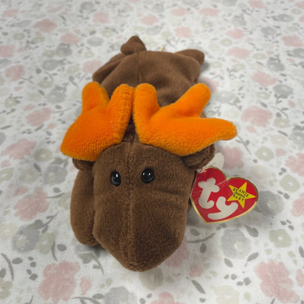 Beanie Baby Moose "Chocolate" from 1993, 9" long, Good Used Condition (GUC)